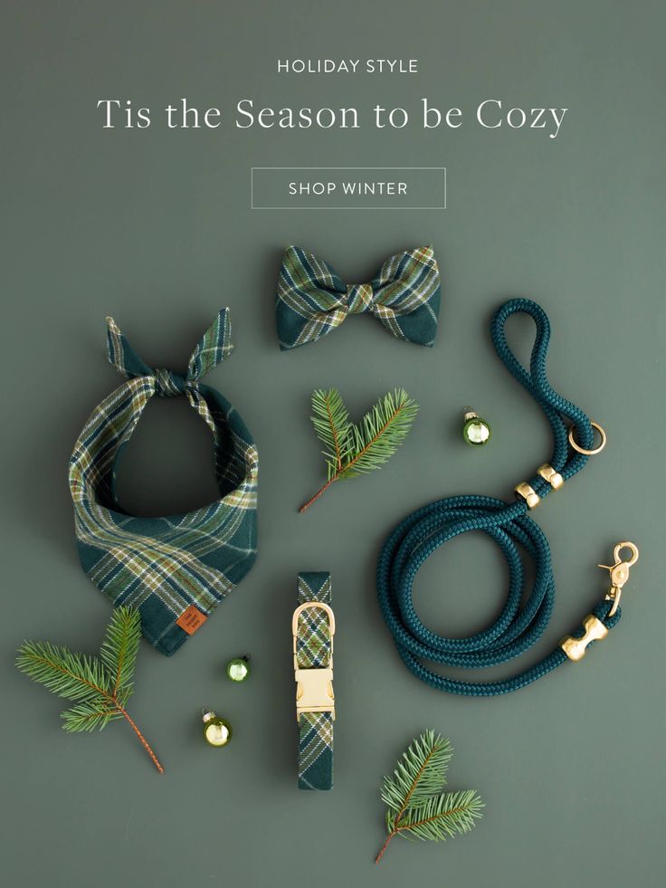 Pet Accessories